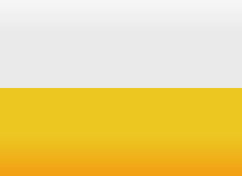 Primary Raster logo